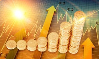 什么叫基金净值 什么叫基金净值化