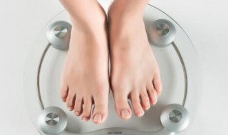 一磅等于多少斤? 一磅等于多少公斤