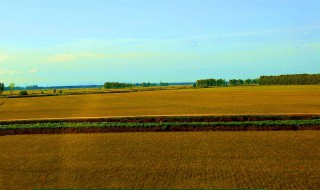 北大荒在哪 北大荒在哪个位置