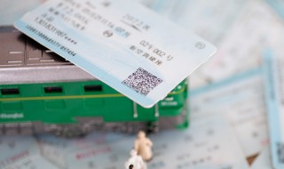 如何查询学生票是否核验（如何查询学生票是否核验过）