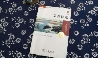 艾青鱼化石赏析 艾青鱼化石概括