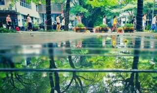 中国十佳宜居城市 2010中国十佳宜居城市