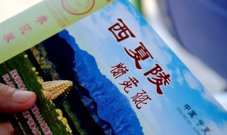 录取通知书买学生票必须在窗口吗（可不可以凭录取通知书买学生票）