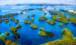 帕劳在哪里（去帕劳怎么去）