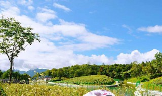 蔺河在哪里 蔺河怎么读