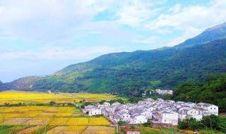 中国十大名村（中国十大名村简介）