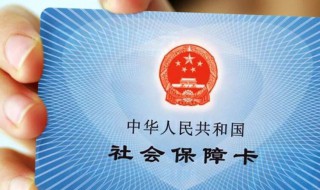 上海社保怎么查（上海社保怎么查询公司缴费记录）