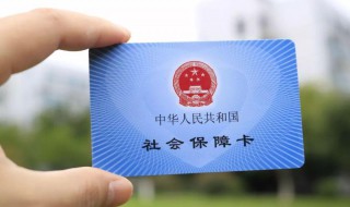 社保电脑号怎么查 本人的社保电脑号怎么查