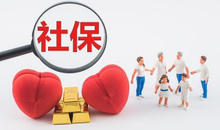 怎么查社保号（社保找不到了,怎么查社保号）