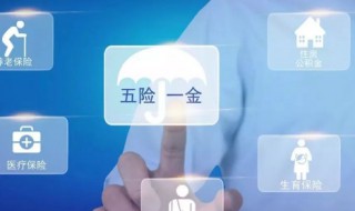 农村户口社保怎么交（农村户口社保怎么交的）