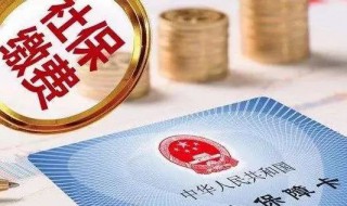 社保卡号怎么查 自己的社保卡号怎么查