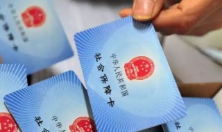 怎么查看社保（怎么查看社保缴费月数）