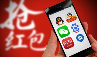 种子怎么看（文明6种子怎么看）