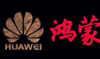 nova5如何升级鸿蒙系统（nova5升级鸿蒙系统好用吗）