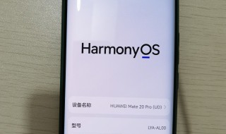 mate40怎么升级鸿蒙系统 Mate40如何升级鸿蒙