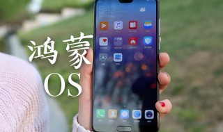 华为p10手机如何升级鸿蒙系统（华为p10手机怎么升级鸿蒙系统）