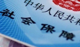 社保号怎么查询 医保卡号怎么查询