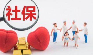 社保编号怎么查询（个体户单位社保编号怎么查询）