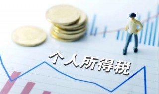 个人所得税怎么交 个人所得税怎么交费