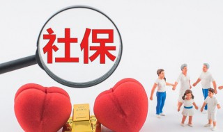 社保缴纳证明怎么开 南京的社保缴纳证明怎么开