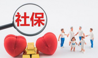 怎么查询社保编号 怎么查询社保编号和密码