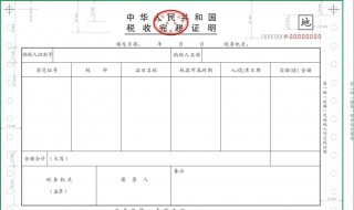 完税证明怎么开（个人所得税完税证明怎么开）