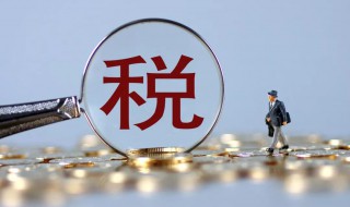 纳税怎么算（个人工资纳税怎么算）