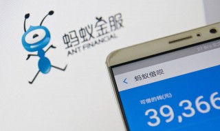 蚂蚁借呗公积金怎么填 蚂蚁借呗公积金怎么填写资料
