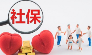 社保能退吗怎么退（社保能退吗怎么退的）