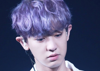 朴灿烈公开道歉是怎么回事 朴灿烈发长文向粉丝道歉