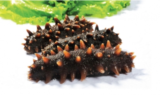 海参的功效是什么，适合经常吃么 海参吃什么作用