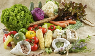 西葫芦怎么做好吃 西葫芦饼怎么做又软又好吃