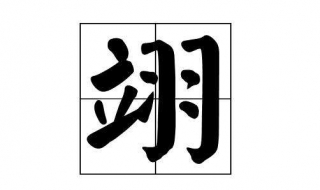 翊怎么读（翊怎么读 拼音）