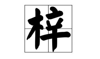 梓怎么读（梓怎么读组词）