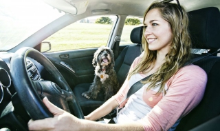 自动挡怎么开 自动挡怎么开暖风