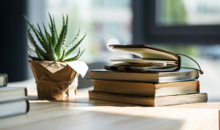 芦荟怎么养 芦荟怎么养才能又大又肥