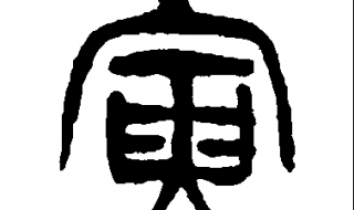 寅怎么读 寅怎么读什么意思