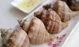 海螺怎么吃（海螺怎么吃和处理方法）