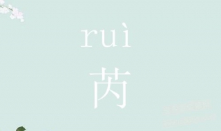 芮怎么读 芮怎么读同音字