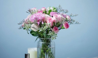 康乃馨怎么养（康乃馨怎么养殖盆栽）