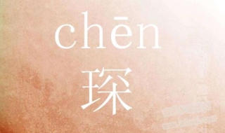 琛怎么读（琛怎么读是多音字吗）