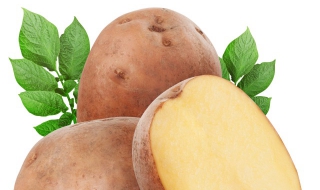 食物中毒怎么办（食物中毒怎么办教案）