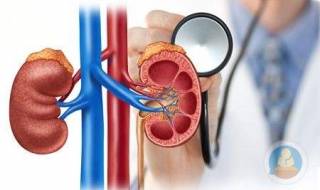 肾功能不全怎么办（肾功能不全怎么办?）