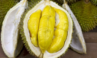 怎样挑好吃的榴莲（怎样挑好吃的榴莲窍门）