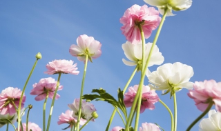 旅行的意义是什么（旅行的意义是什么英语作文）