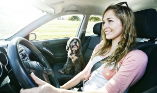 开车省油技巧（开车省油技巧自动挡）