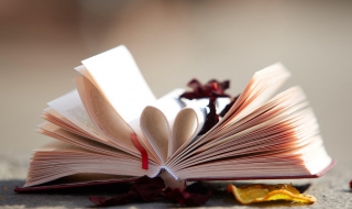 新闻的格式 新闻的格式图片