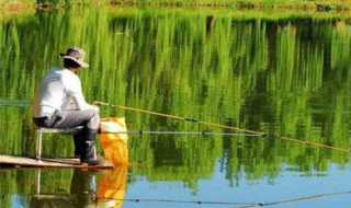 夏天钓鱼技巧 夏天钓鱼技巧视频