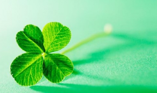 送人四叶草的寓意 送人四叶草的寓意是什么