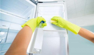 清理冰箱的小窍门（清理冰箱小技巧）